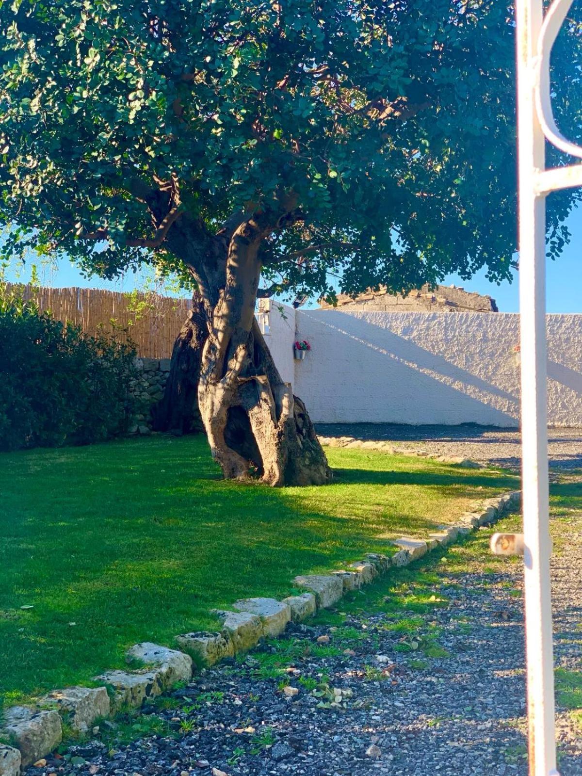 Casa Daviri Βίλα Μόντικα Εξωτερικό φωτογραφία